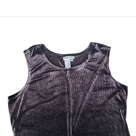 Coldwater Creek Vintage Brown Velvet Maxi Dress Women’s Large Holiday Partywear - Picture 4 of 8